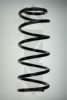 SPIDAN 55898 Coil Spring
